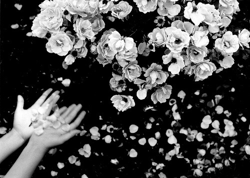 tumblr photo diacetyl-morphine 0