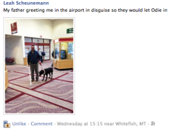 damnthatswhatshesaid:  Great to see the airport is taking security seriously 