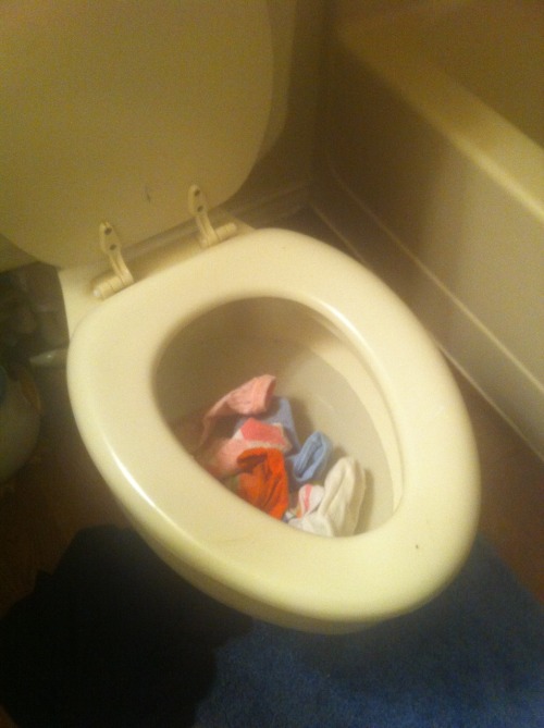cknaupp:Never in my life have I seen a cat do this, she collected socks from around my house and sto
