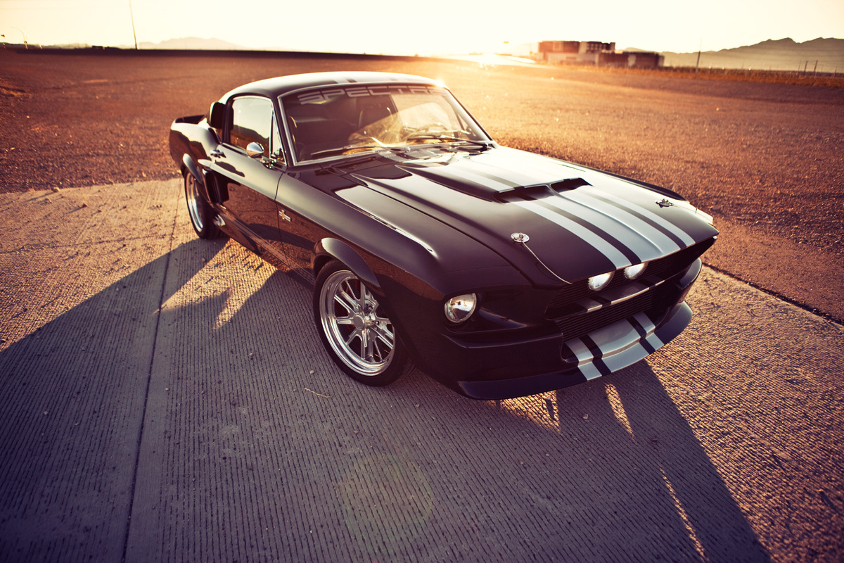 the80sareforever:  My photos of the Classic Restorations Shelby GT500CR, shot in
