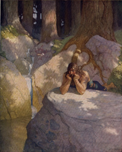 idlf:  N.C. Wyeth - Sir Lancelot In the Wilderness,