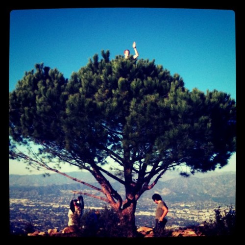 Porn photo Mitch, Tree of Life (Taken with instagram)