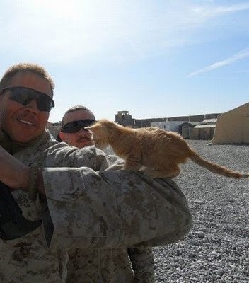 thearmedgentleman:  I’m not too sure about bringing back pets from deployments,