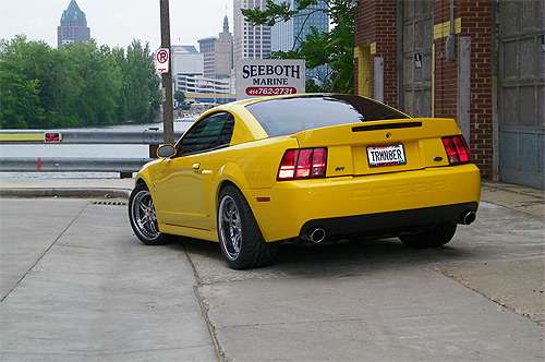 Pure Muscle