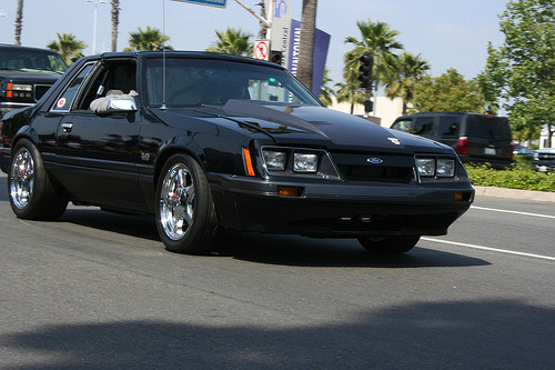 Pure Muscle