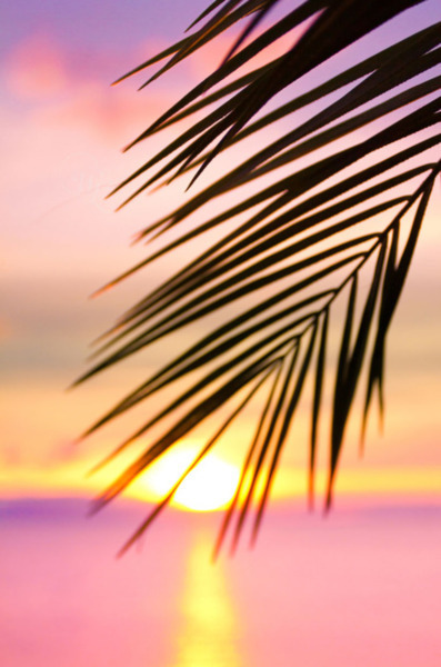 h-a-p-p-y-summer:  Follow h-a-p-p-y-summer for colorful summer pictures all year round! :)