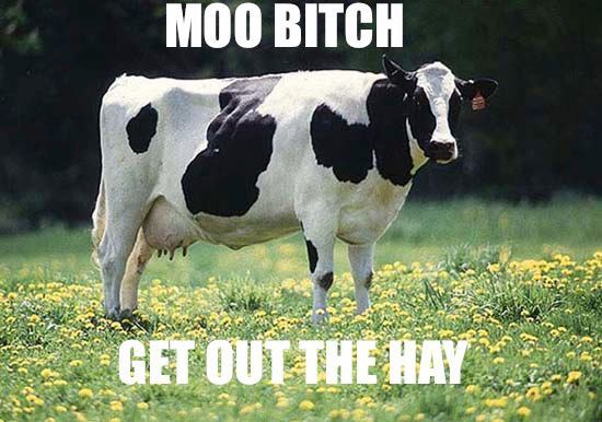 smosh:  Moo Bitch 