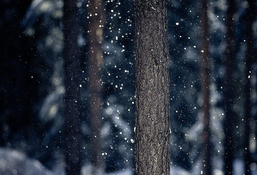 eneloh.tumblr.com/post/22166877327/