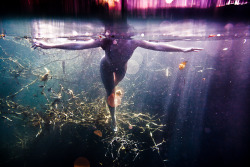 neilcraver:  Pollux Awards 2011 The Worldwide Photography Gala Awards announces the overall winners and awardees of the 2011 WPGA Annual Pollux Awards. 20,320 images were received from 72 countries, in 6 monthly consecutive contests, whose results were