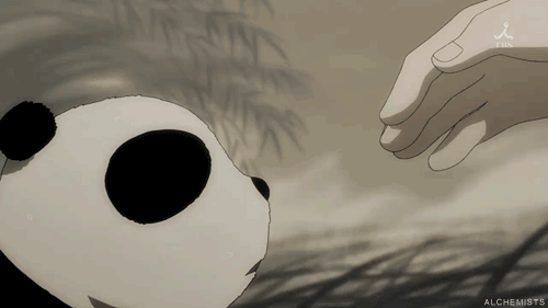 "Awn , cachorro bonitinho..."
