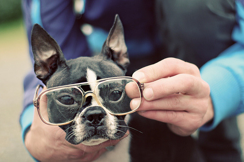 surferdude182:  (by Sara. Nel) 