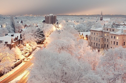 My Dreamland