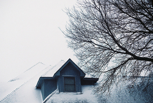 imaginatifs:Winter ‘s Color. (by . Entrer dans le rêve)
