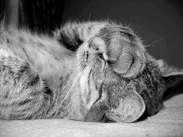jjones186:  Omg - not again….. 