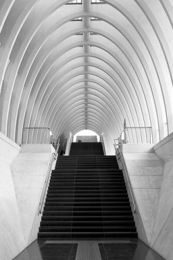 pathosforbathos:  Stairway to mars (by Vincent