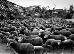 Leipzig, Germany photo by Margaret Bourke-White,