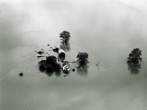Mississippi river Flood, St. Louis, Missouri photo by Arthur Rothstein, 1938