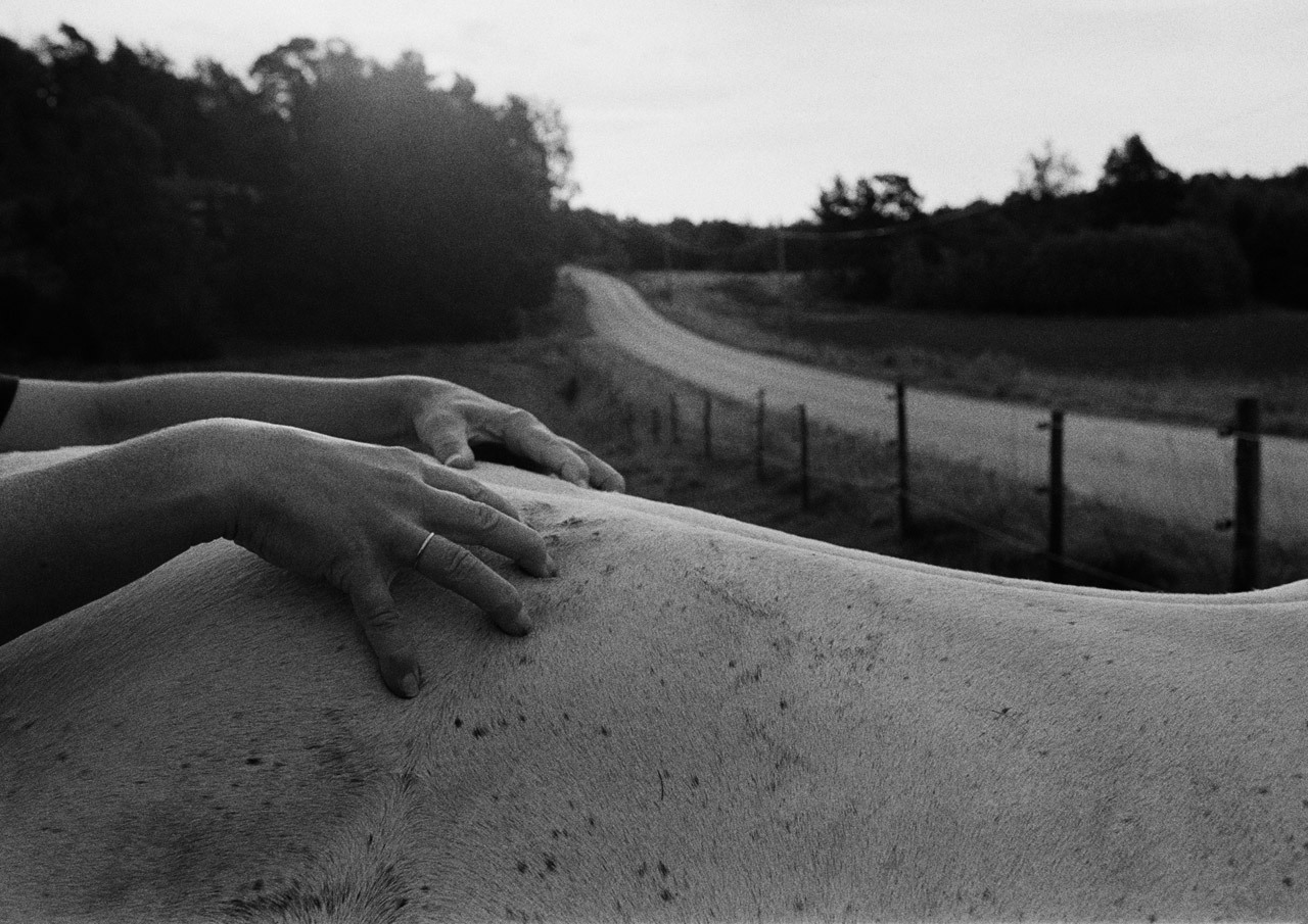 Grindtorp, Uppland photo by Jens Assur; Livnära series, 2009