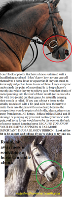cynicalsarcasmgetsmeoff:  Here’s a separate post to keep everybody happy.  If you need a bit to control your horse then you don&rsquo;t know what your doing, it&rsquo;s as simple as that.