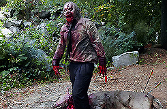  top zombie season 1  