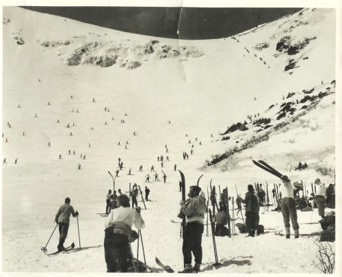 encoreducowbells:  theunderratedepi:  I’m going to JapanI’m going to JapanI’m going to Japan  Swell, but this is Tuckerman’s Ravine in New Hampshire.  Hee