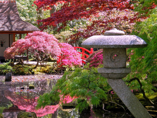 The Japanese garden of The Hague by Frans Schmit on Flickr.