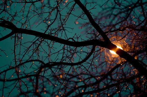 ihavelemons:  (via Piccsy :: Glow) 
