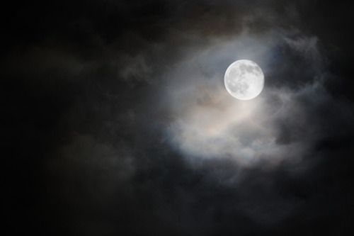 &ldquo;Oh what a night!&rdquo; *took this picture a while ago&hellip;maybe a year ago. p