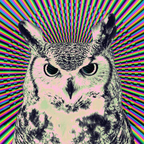 Visit Me High