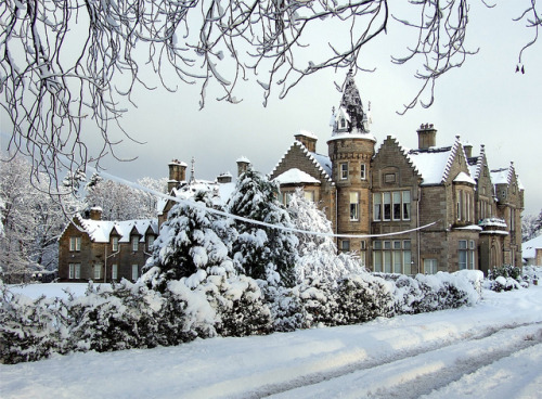space4ce: Snow in the suburbs day 2 - 29th Nov: Southfield House by kaysgeog on Flickr.