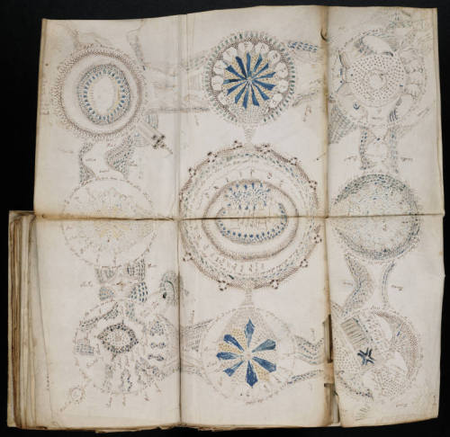 Another from the Voynich Manuscript.Now available in its entirety at Yale’s Beinecke Rare Book