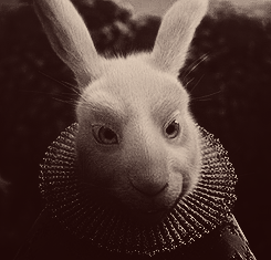 areyoufeelingme:   the white rabbit, the little girl, the mad hatter, the queen.