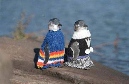 mikeheidkamp:  arielfasho:  how cute.  A penguin in a tuxedo… brilliant. 