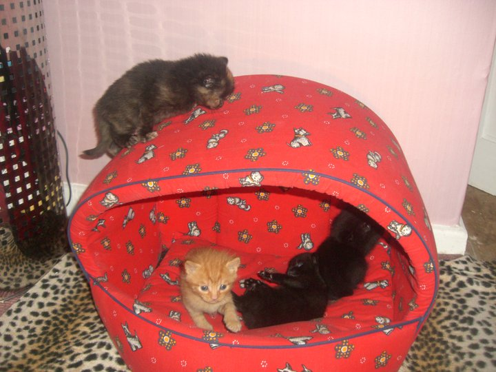 @AdorableBipolar dollyrocket:  Always a shitbag. With her siblings. 