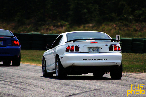 Pure Muscle