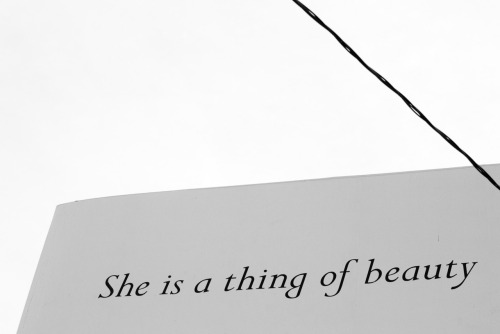 terrysdiary:  She is a thing of beauty