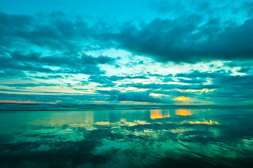  http://weheartit.com/entry/18542646 