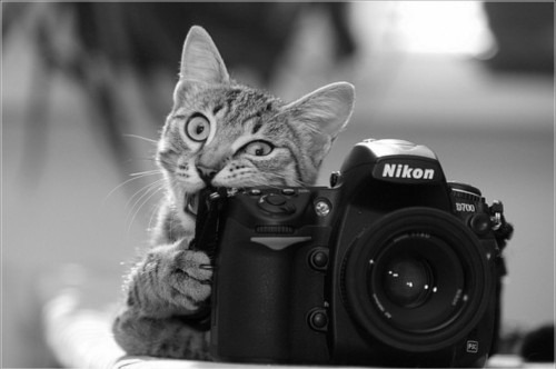  http://weheartit.com/entry/18542765 