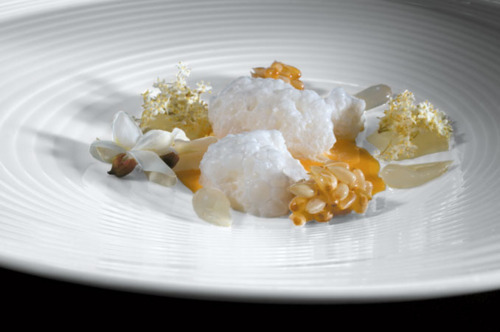 fonzyd:  elBulli