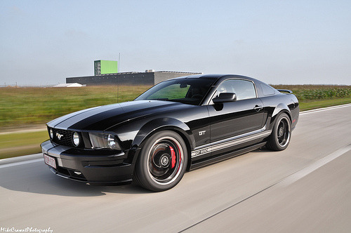 Pure Muscle