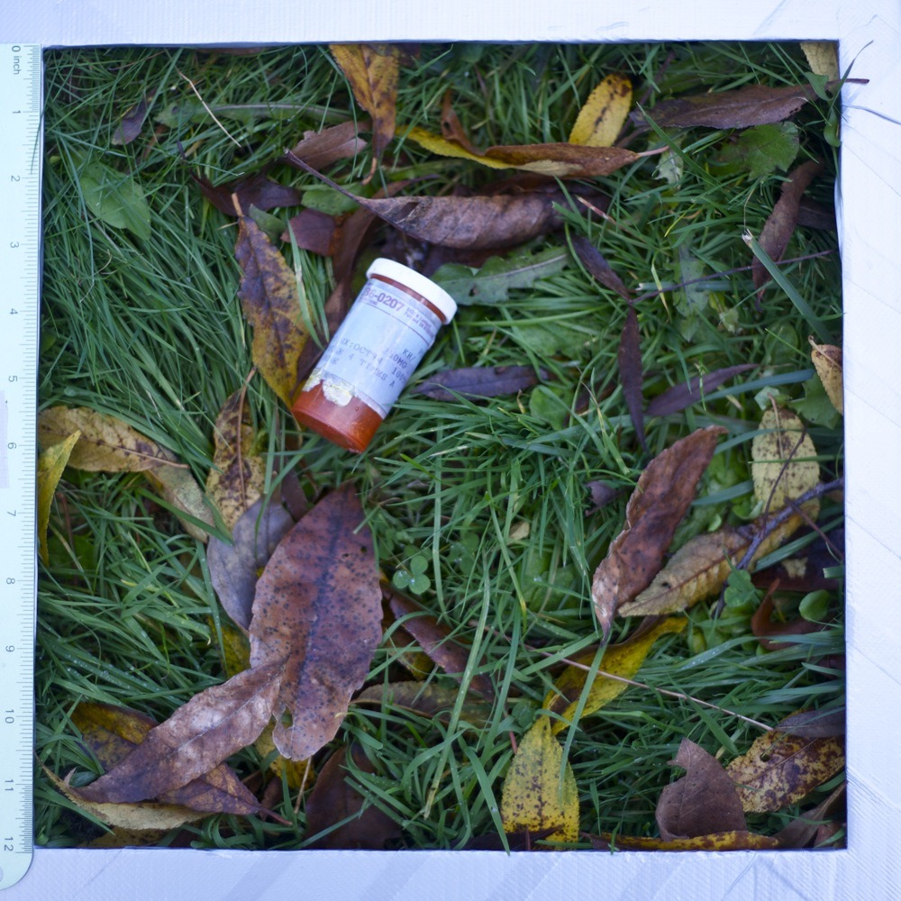 Empty prescription bottle in the grass, litter, St. Johns Racquet Club.