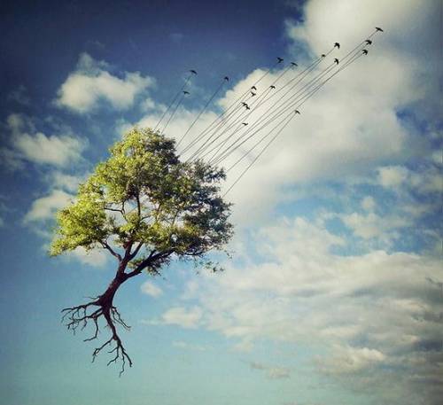  http://weheartit.com/entry/18584641 