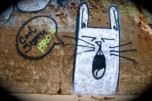  http://weheartit.com/entry/18591905 