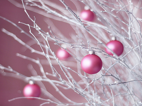  http://weheartit.com/entry/18586115 