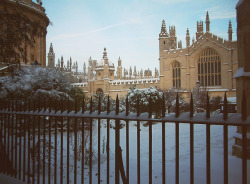 fleeing-foxes:  398 by in.elegance on Flickr. Oxford, England. 