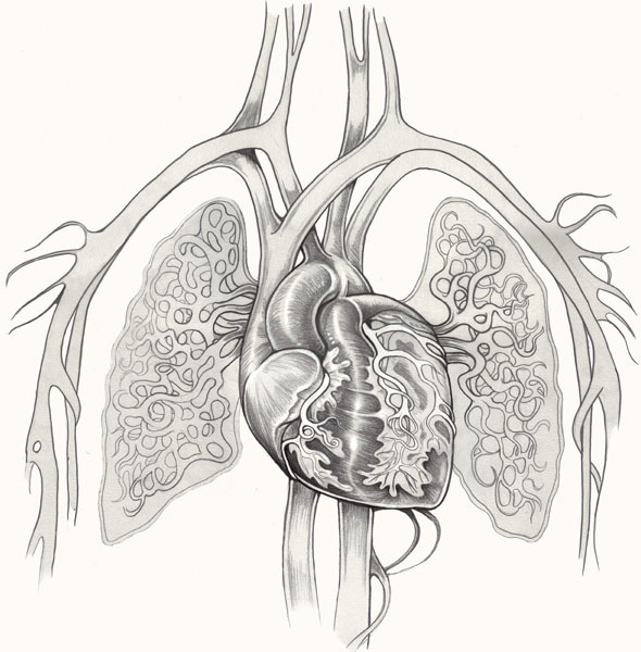 artparasite:  Heart, Martine Johanna 