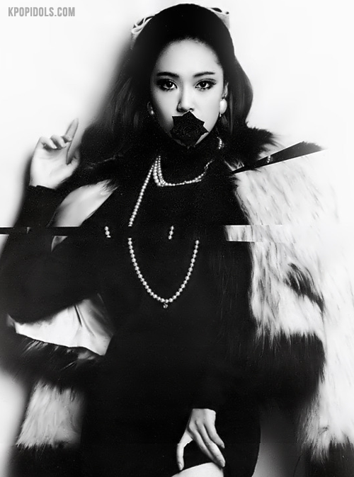 The Idols of K-Pop