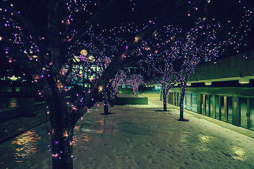 winter
