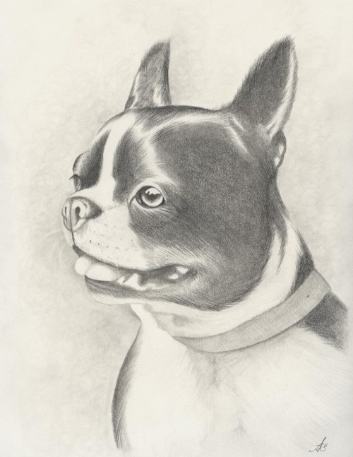eatsleepdraw:  Amber Morris, 2011 