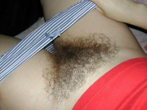 bigboobsandasses:  Hairy girl. 